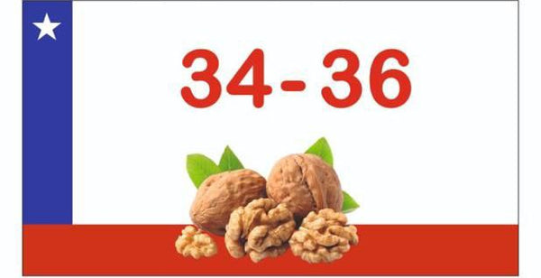 toller Chilean Walnuts Inshell (34-36) 10KG Carton