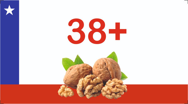 toller Chilean Walnuts insehll 38+ 10 KG Carton Loose